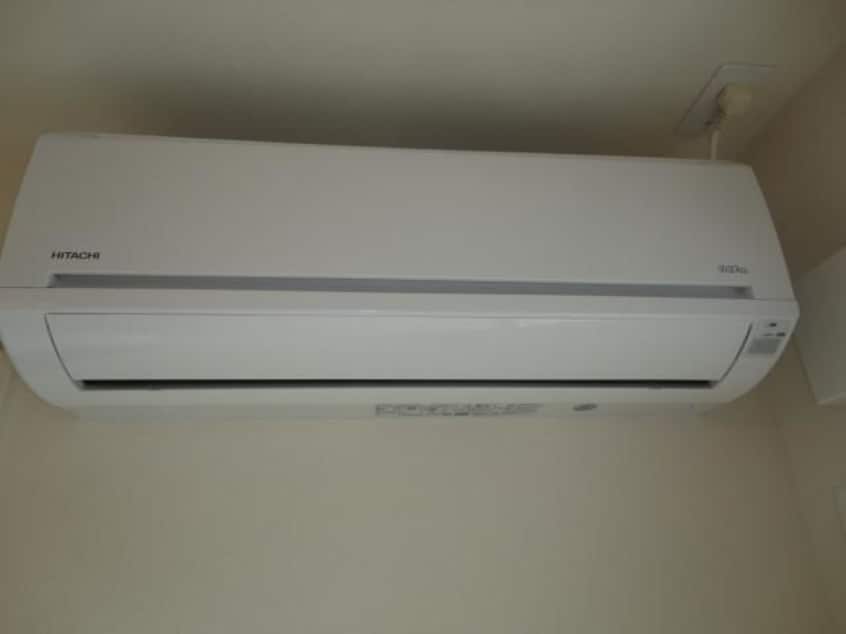  キャットテール