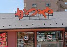 かつや名古屋本陣通店(その他飲食（ファミレスなど）)まで294m 名古屋市営地下鉄東山線/中村公園駅 徒歩20分 1階 築13年