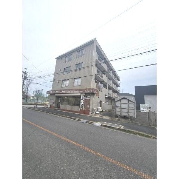  名鉄名古屋本線/本星崎駅 徒歩15分 3階 築46年