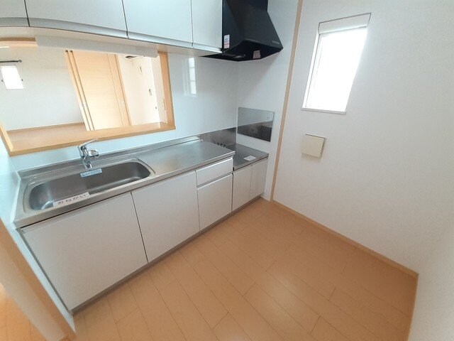  セントポーリア