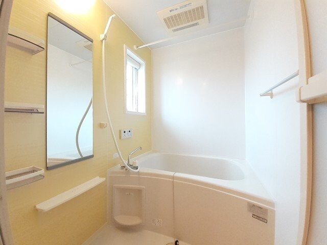  セントポーリア