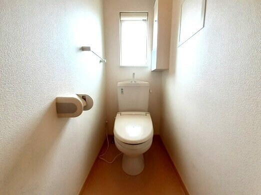  セントポーリア