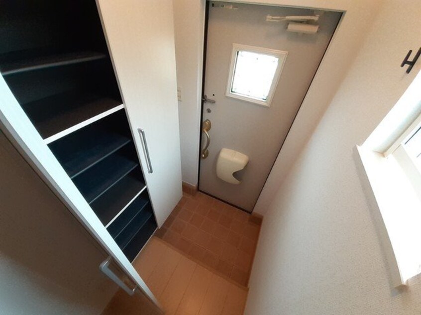  セントポーリア