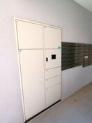  アルテミス平和