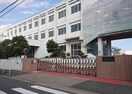 名古屋市立道徳小学校(小学校)まで409m Pre cher 道徳