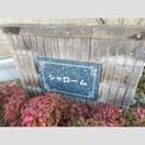  シャローム　A棟