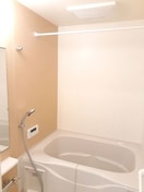  アッカ・フォルテ