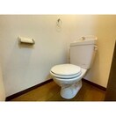  アンプルール ブワ ステラ