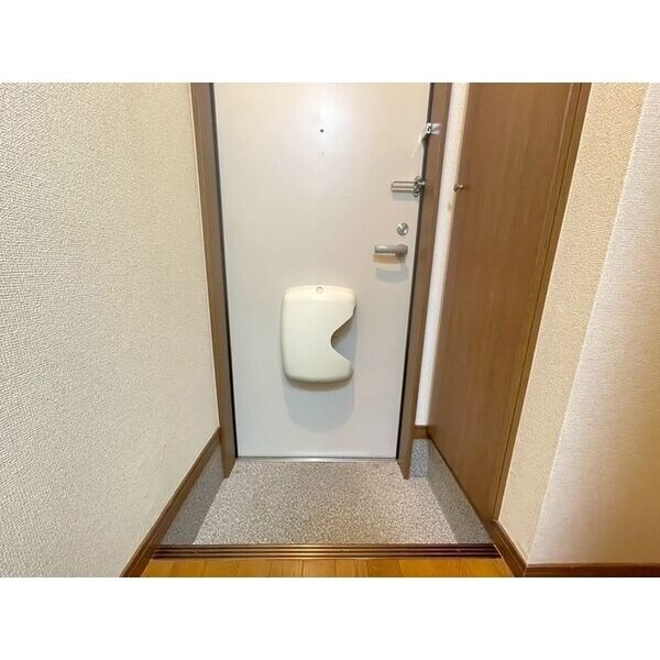  アンプルール ブワ ステラ