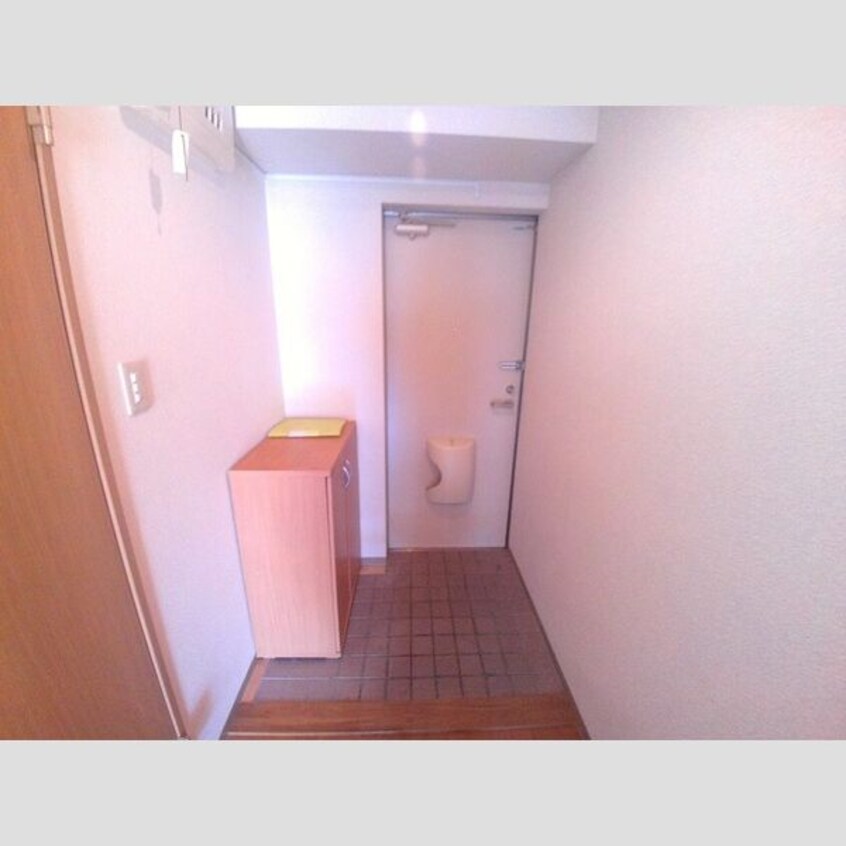  レクセルヒカリ