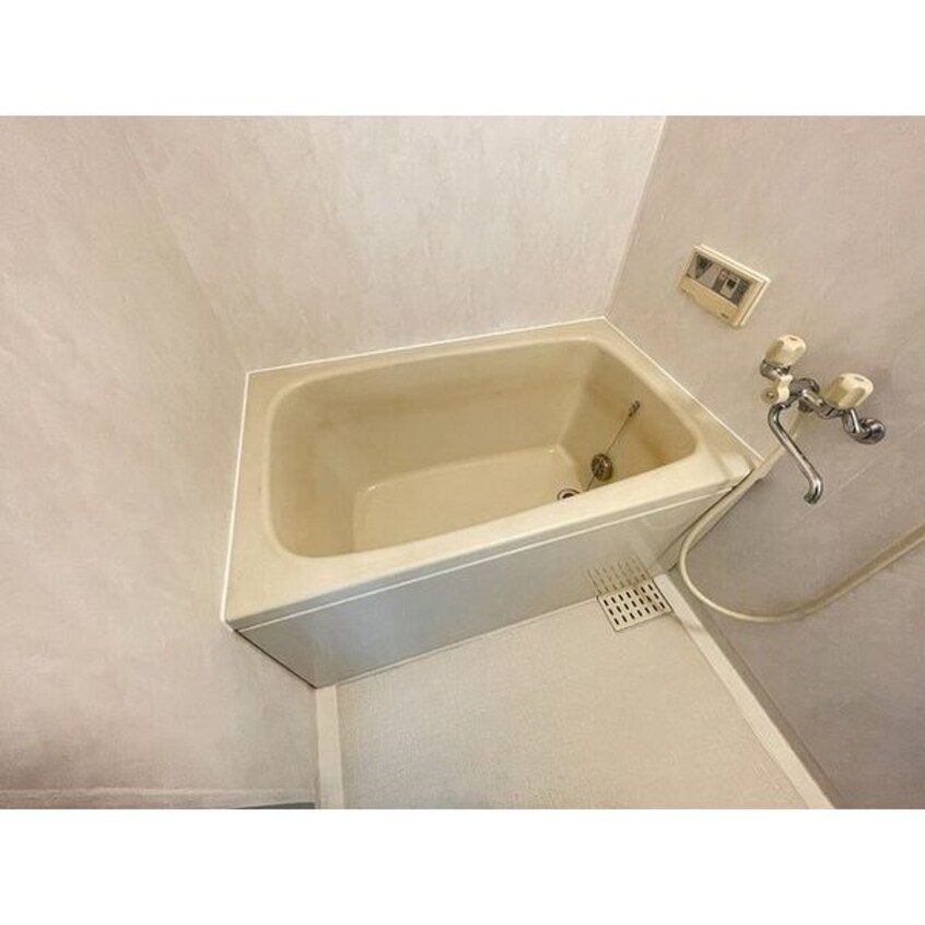  バロワール宝神