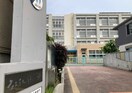 名古屋市立ほのか小学校(小学校)まで257m 名古屋市営地下鉄東山線/本陣駅 徒歩6分 1階 築11年