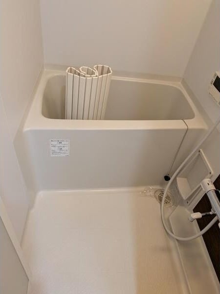  パルティール並木