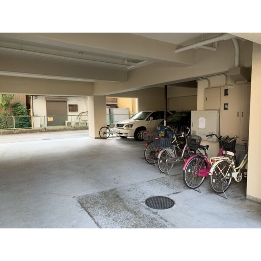  シャンブルナルカワ