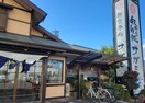 サガミ松葉公園店(その他飲食（ファミレスなど）)まで607m フィール清船