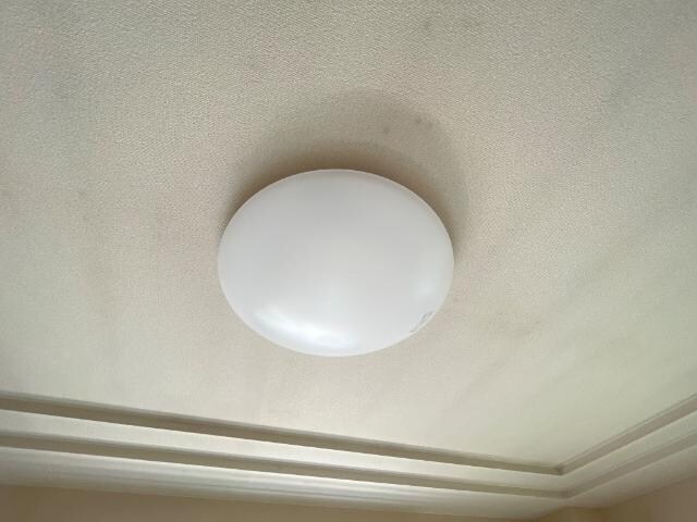 室内照明 アーバンフォレスト