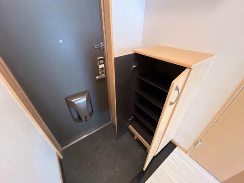 下駄箱 ウェル　ＩＺＵＭＩ