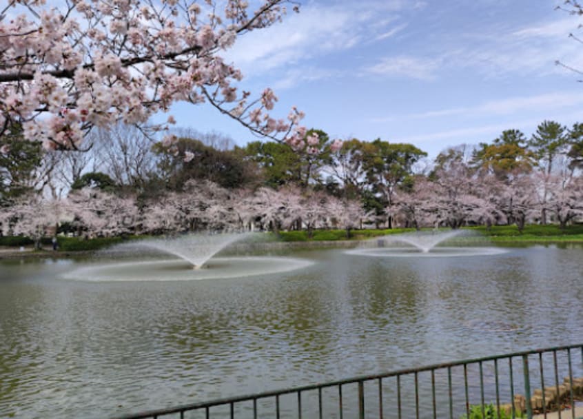 名城公園(公園)まで1251m 名古屋市営地下鉄鶴舞線/浄心駅 徒歩1分 3階 築10年