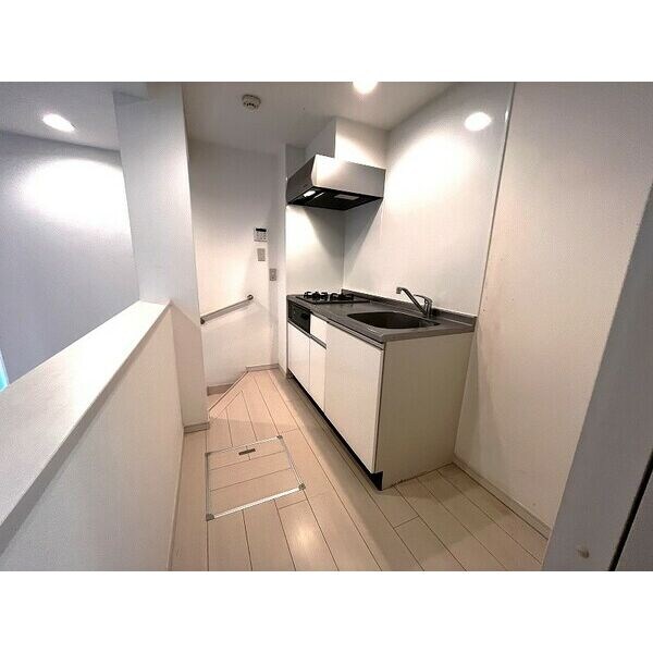  フレシール道徳