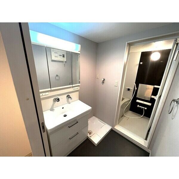  フレシール道徳