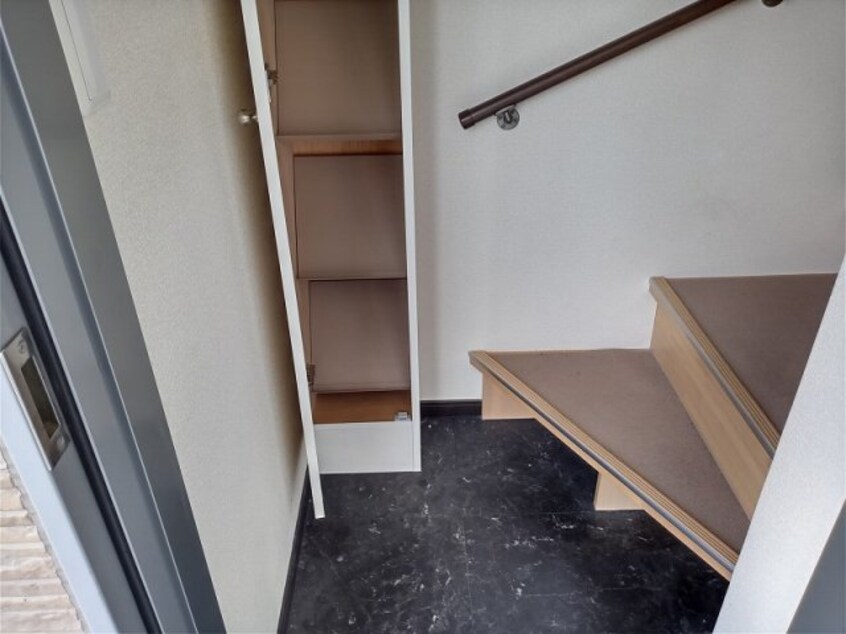 シューズボックス付き レオネクスト雄