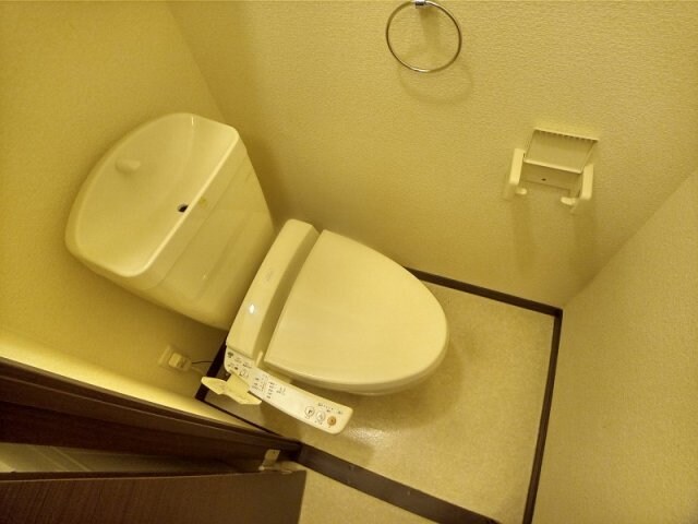 ウォシュレットタイプ レオネクスト雄