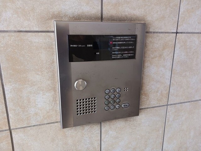  Ｓｏｌｅｉｌ　Ｈｏｎｊｉｎ