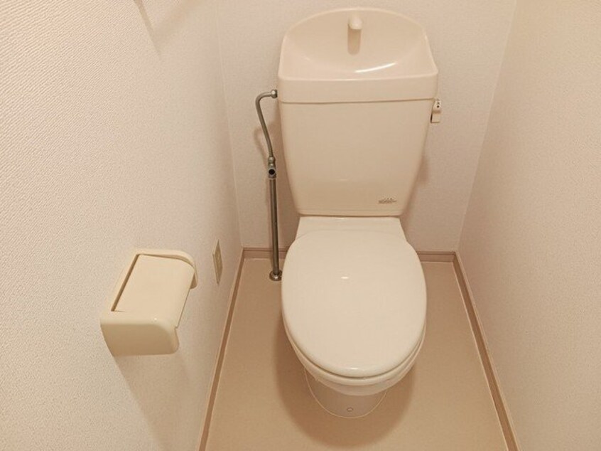  Ｓｏｌｅｉｌ　Ｈｏｎｊｉｎ