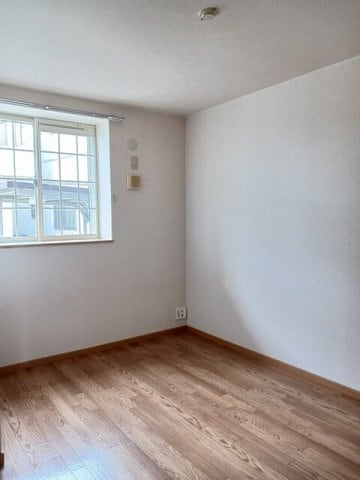  コリ－ヌＳＳⅡ