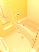 お風呂で日々の疲れを落としましょう ハイツリーヒルズＡ