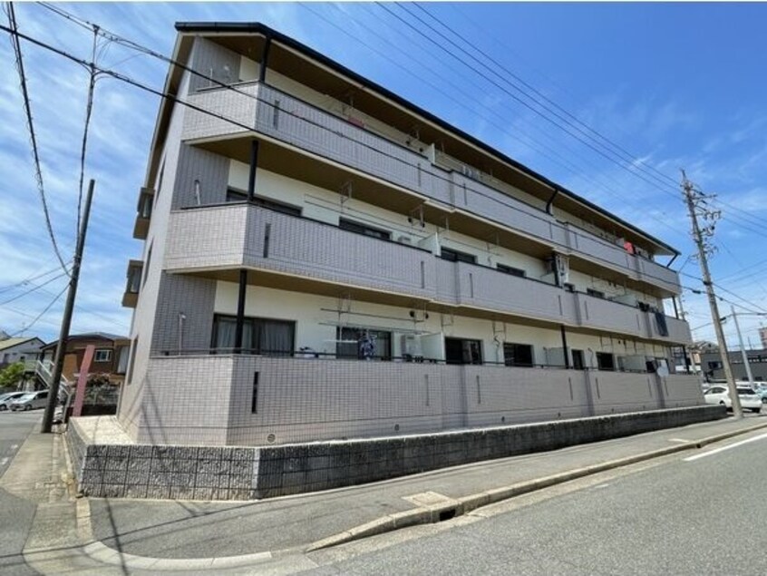  メモアール中花