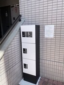  メモアール中花