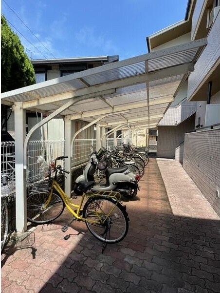  メモアール中花