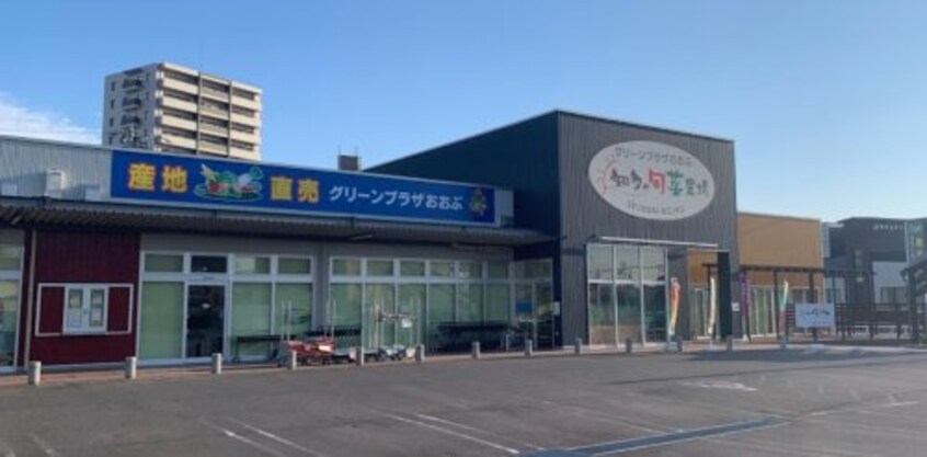 JAあいち知多 グリーンプラザおおぶ(スーパー)まで651m サプリーム若草