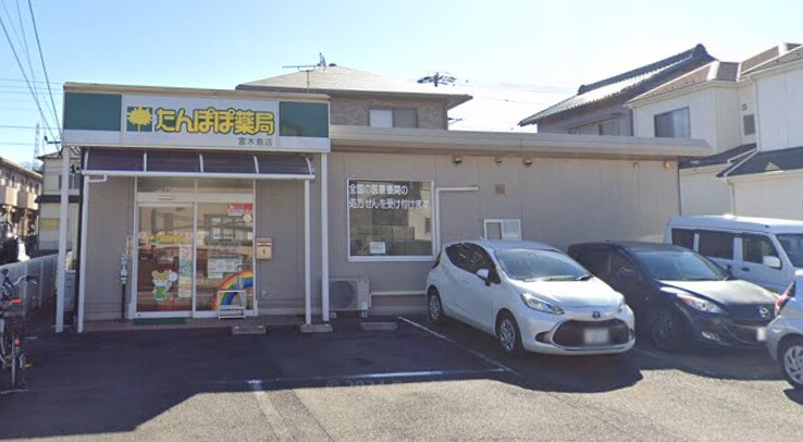 たんぽぽ薬局 富木島店(ドラッグストア)まで198m サンモールⅢ