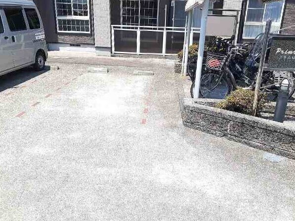  プリムローズＫ