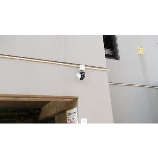  バロワール宝神