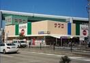 ナフコトミダ熱田店(スーパー)まで861m 名古屋市営地下鉄名港線/六番町駅 徒歩11分 4階 築27年