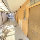  サンシャインサツキ