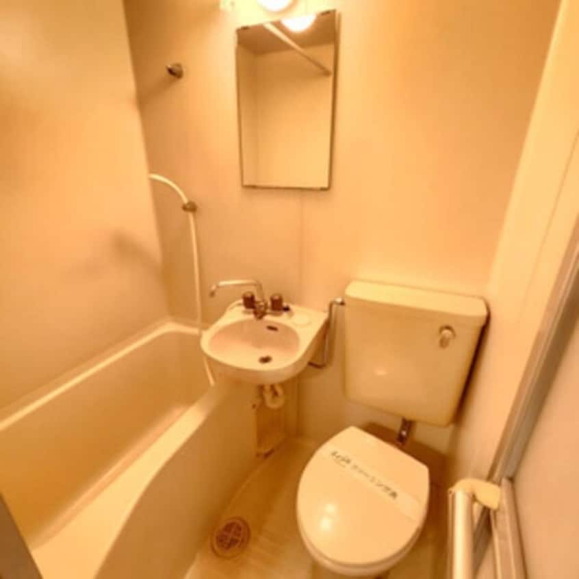  サンシャインサツキ