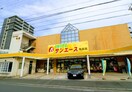 サンエース 亀島店(スーパー)まで515m 名古屋市営地下鉄桜通線/太閤通駅 徒歩9分 3階 築11年