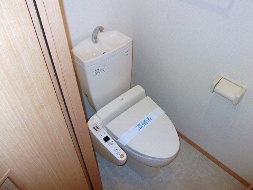  S・Tステラ　Ⅲ