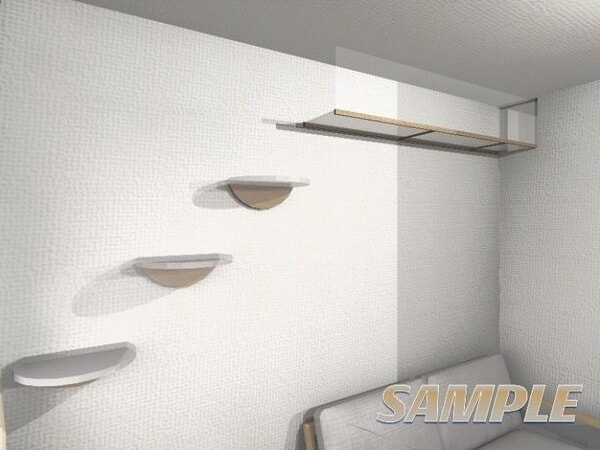  猫ん家　シャトン黄金