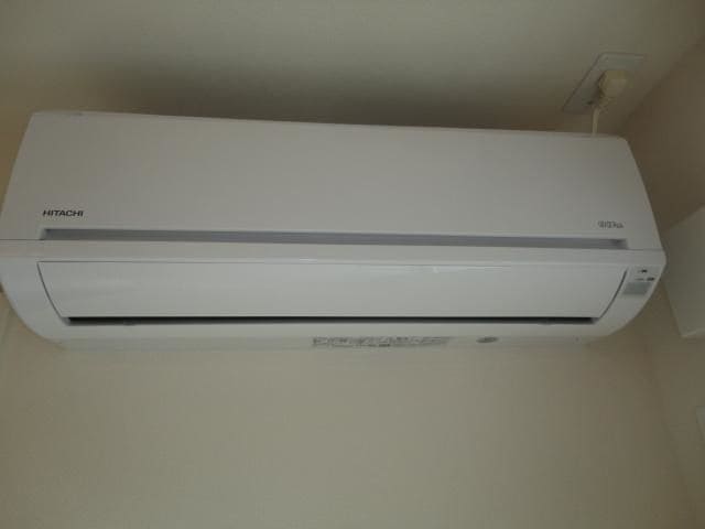  キャットテール