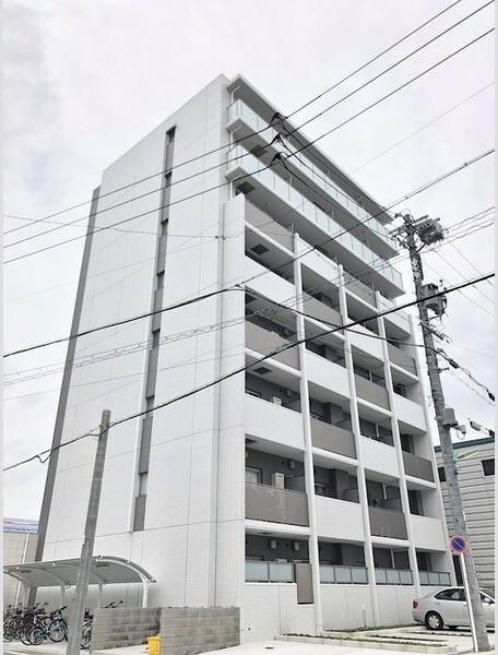  メイボートレス