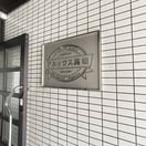  アネックス高畑