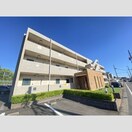  コモン・ガル小垣江(V)