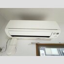  コモン・ガル小垣江(V)