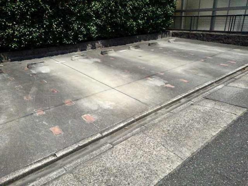  ルピナス・イースト