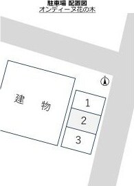  オンディーヌ花の木